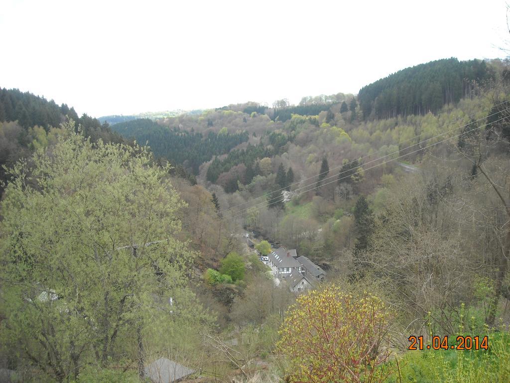 מונשאו Hallerblick מראה חיצוני תמונה